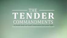 Are the Ten Commandments Relevant?  (Audio Only)