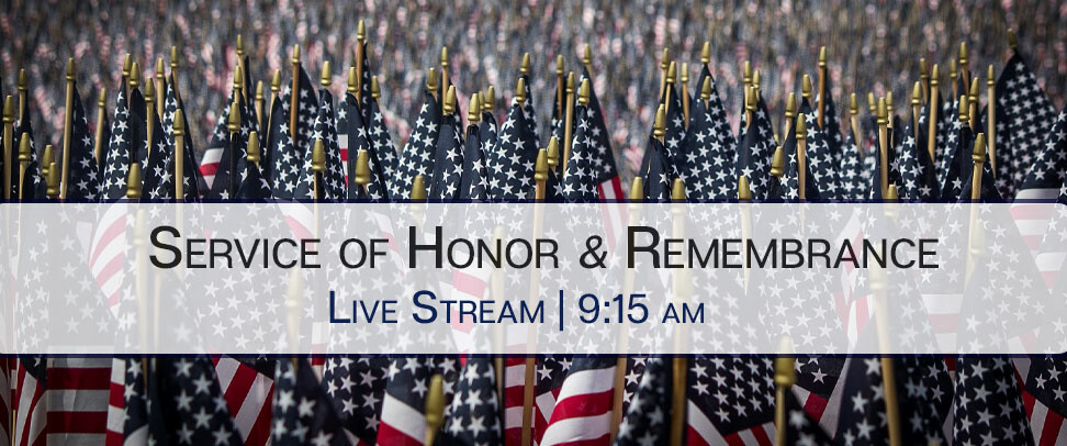 Watch Video| Live Stream Replay