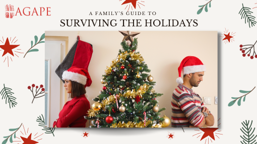 A Guide to Surviving the Holidays