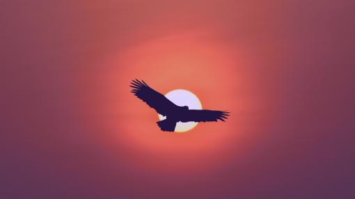 Strength for the Bone-Deep Weary