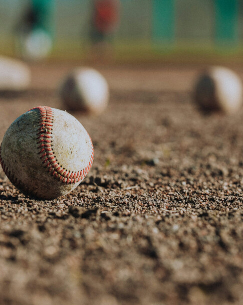 Family Hangout: Bowie Baysox Game