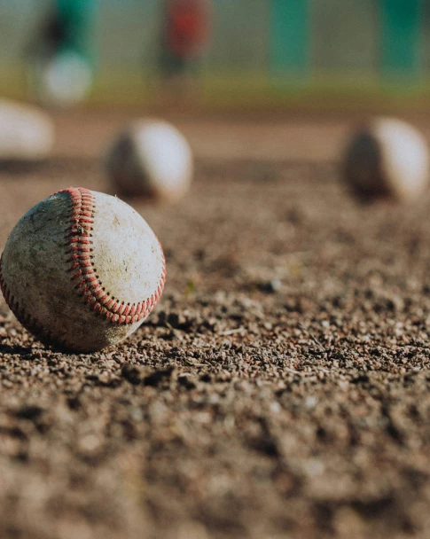 Family Hangout: Bowie Baysox Game