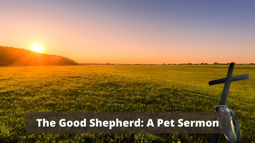 The Good Shepherd: A Pet Sermon