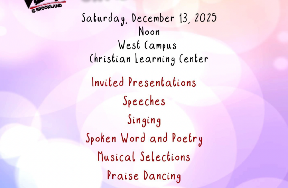 VIBE Christmas Program