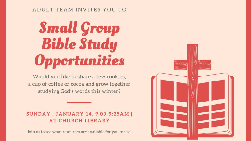 small group bible study resources & opportunities