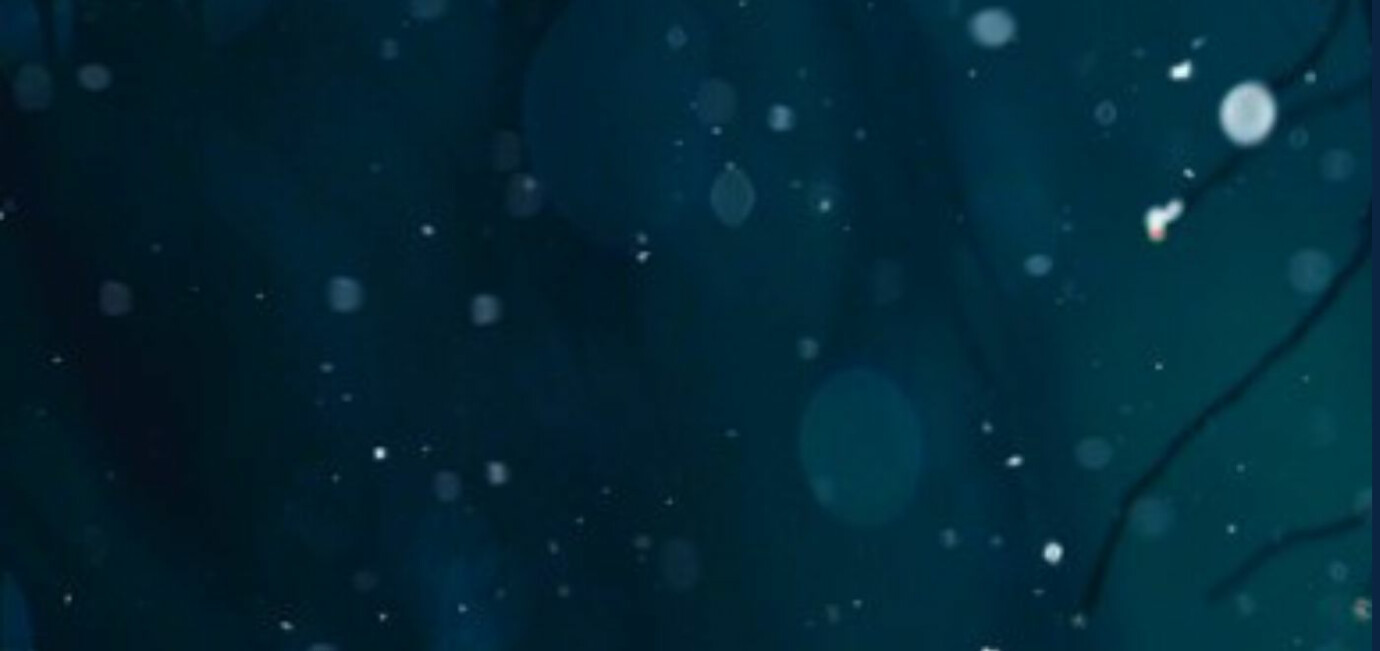 Christmas Eve Modern Candlelight Service at 5pm