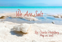 We are the Salt
