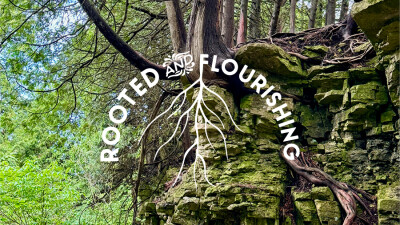 Rooted and Flourishing