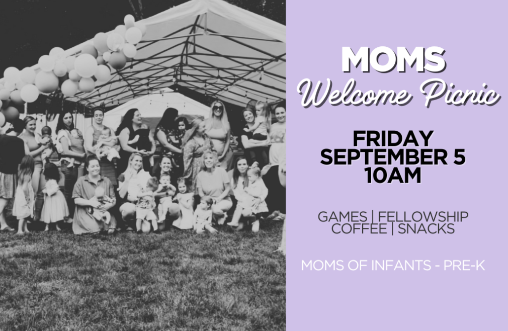 MOMs Welcome Picnic