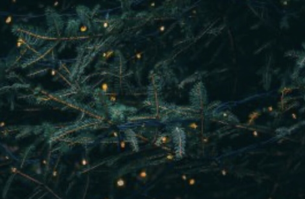 Hope for the Holidays Dinner