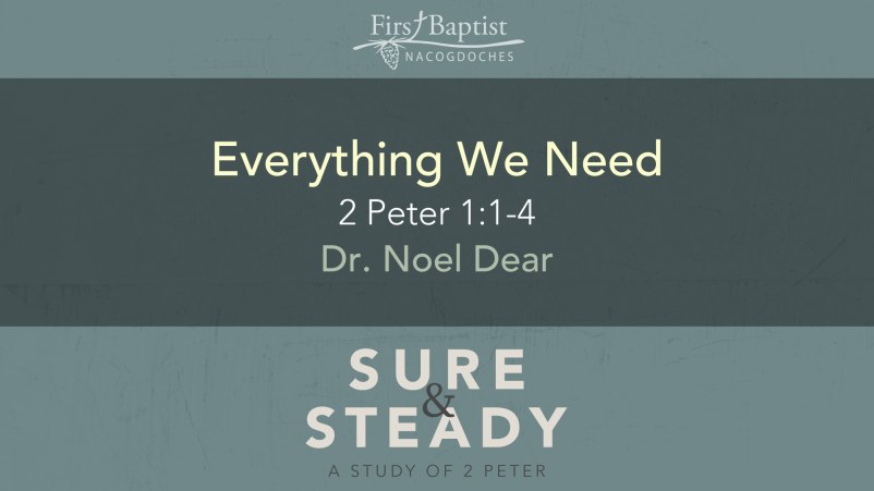 Everything We Need