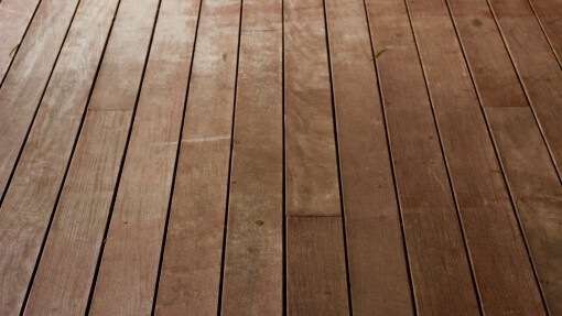 My Dog Faith and Fear