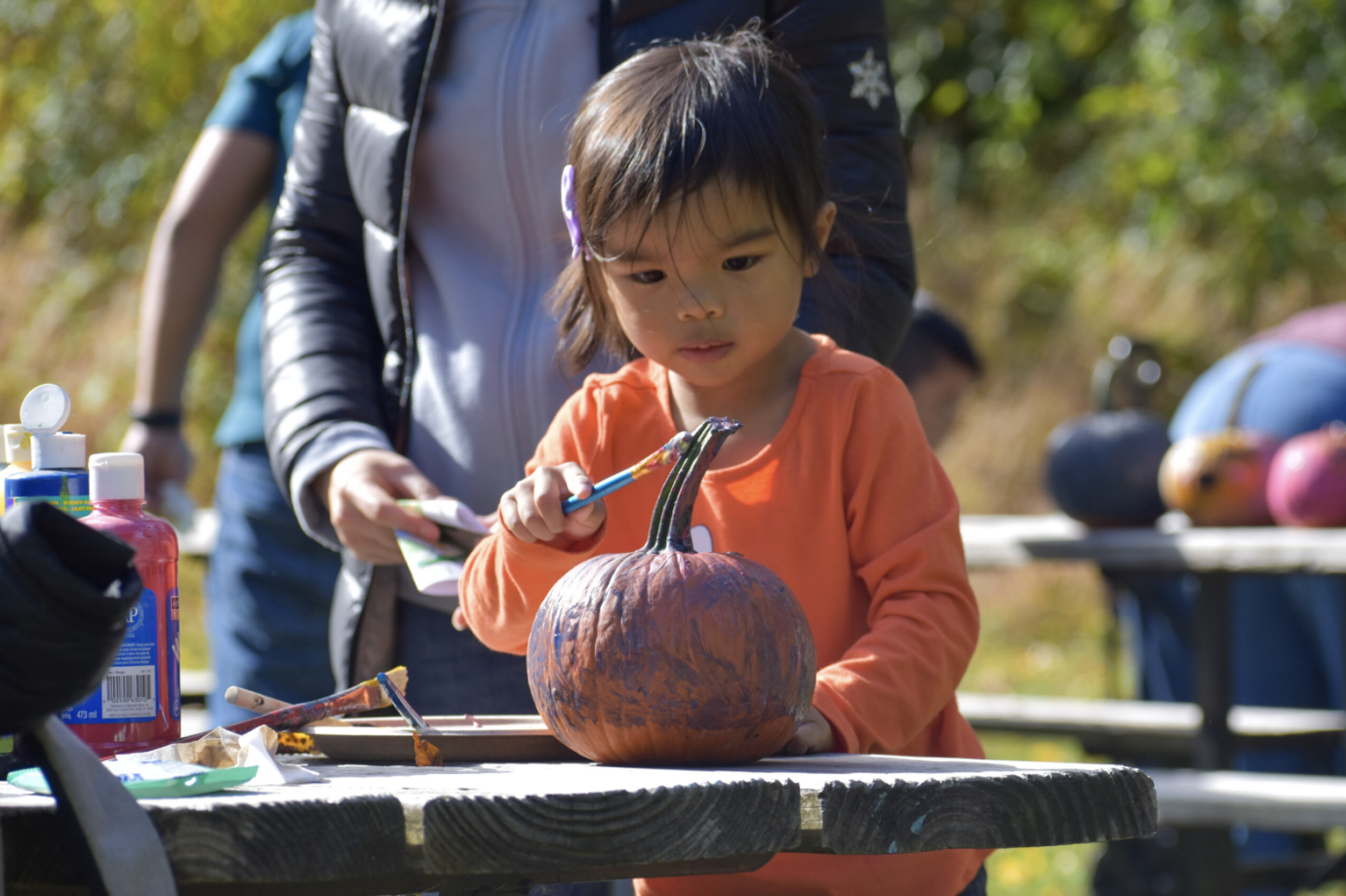 Fun Fall Day at Camp Johnsonburg