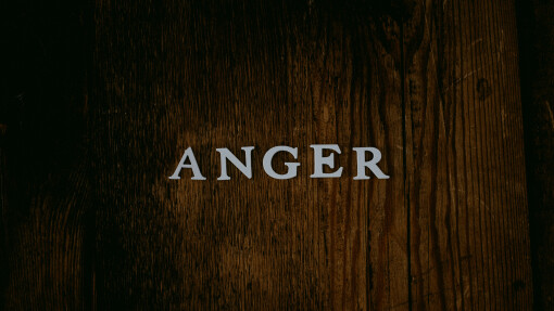 Anger: Learning From Moses