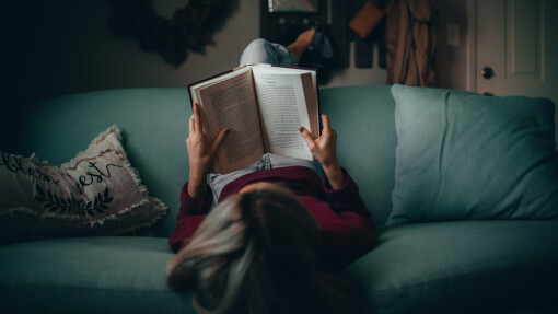 Learn How to Read and Understand the Bible