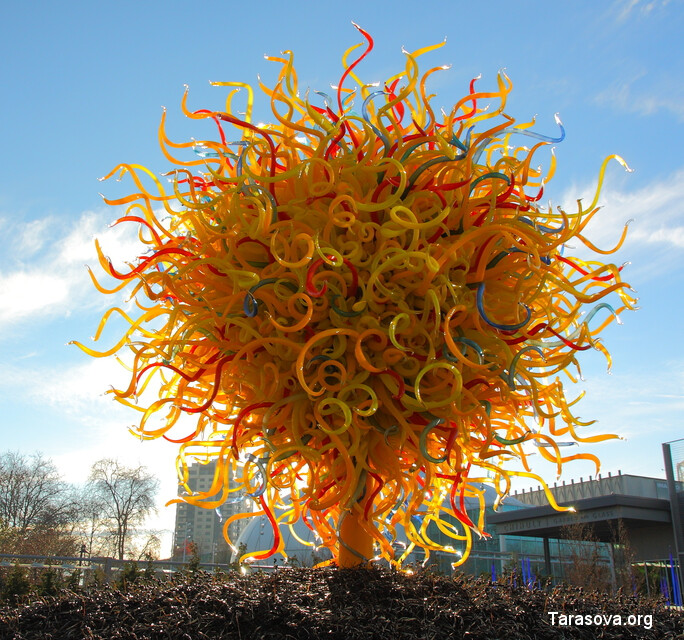 Compass gathering at Chihuly