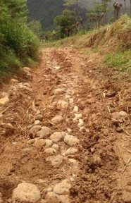 Roads in the Rainy Season