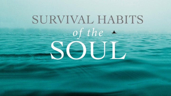 Survival Habits of the Soul (Audio) episode artwork
