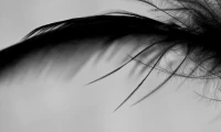 CEB fotofest 2