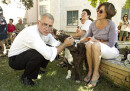 Churches Prepare for Blessing of the Animals: Resources Available In Spanish And English