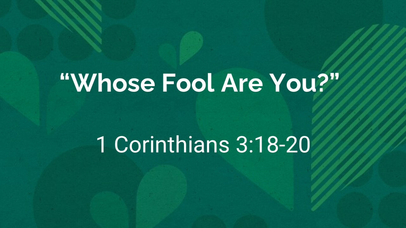 Whose Fool Are You?