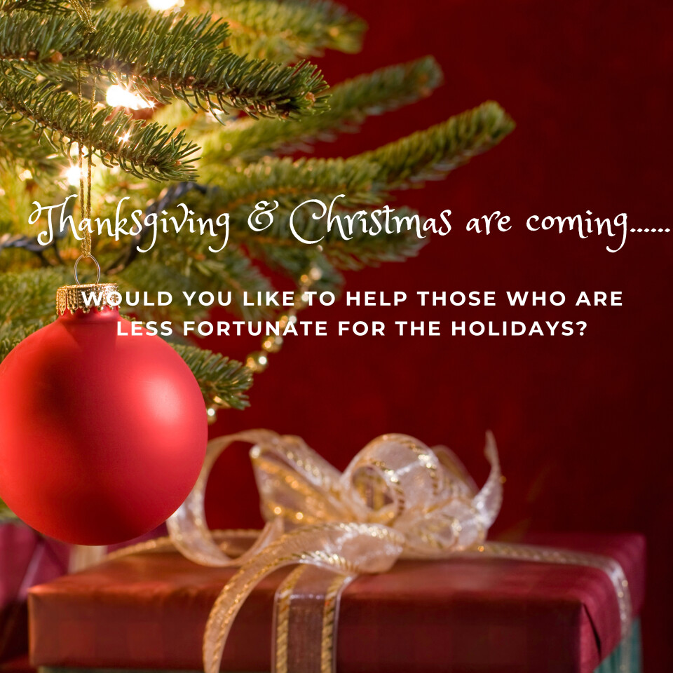 Thanksgiving Baskets & Christmas Wish List (Items due by Sunday, November 19th)
