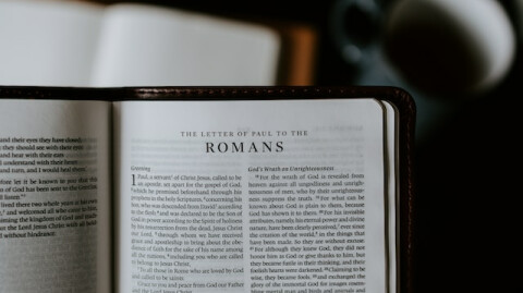 Daniel Explains Romans