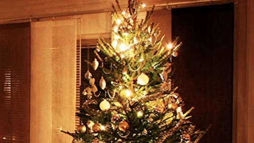 Trimming the Tree with Stories