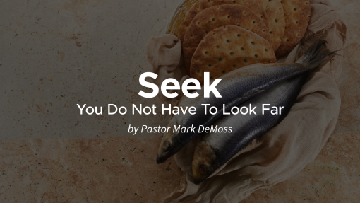 Seek: You Do Not Have to Look Far