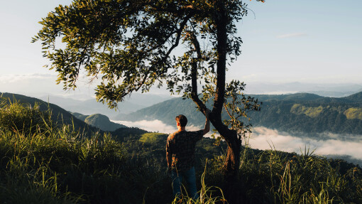 If Jesus is the Prince of Peace, Why Do I Have So Much Anxiety?