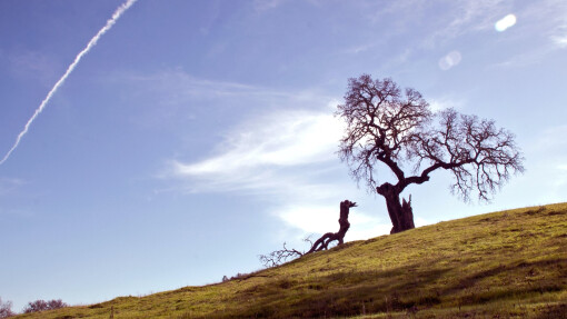 When Things Go Wrong