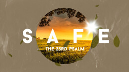 Safe: Goodness and Love of the Shepherd