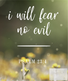Psalms Study Week 17