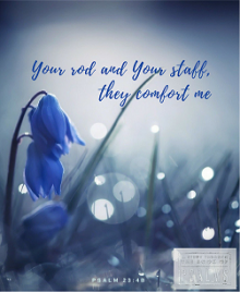 Psalms Study Week 18