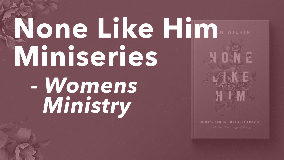 Women's None Like Him Miniseries