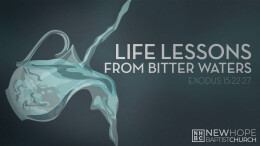 Life Lessons from Bitter Waters \ July 12, 2023