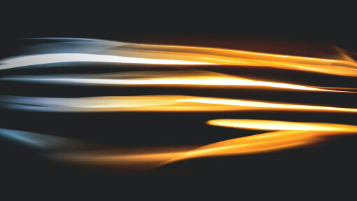 The Light of Life