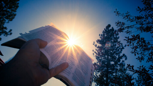 Can We Trust Christ When We Suffer?