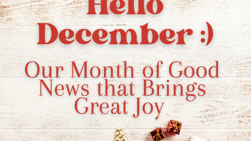 DON MONTHLY NEWSLETTER (DECEMBER 2025)