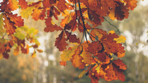 Beating the Seasonal Blues