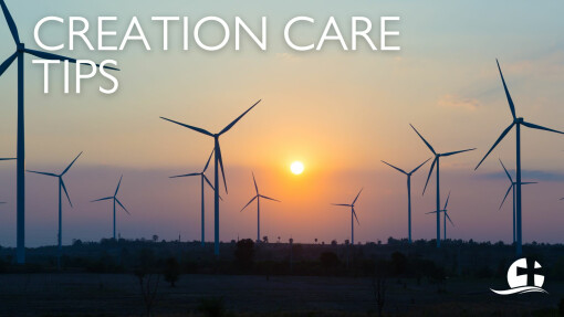 New Year Creation Care Tip