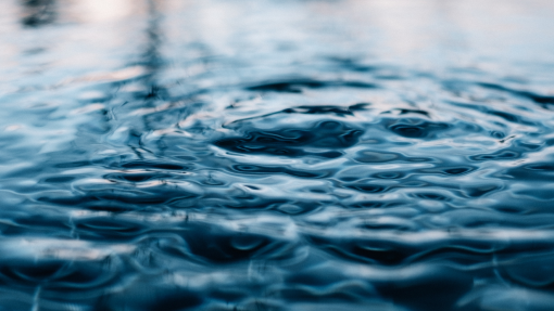 The Spring of "Spirit Life"