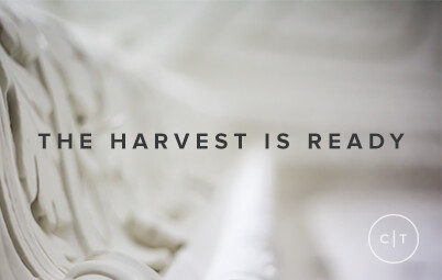 The Harvest is Ready
