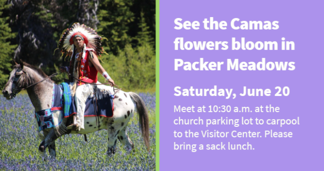Creation Care - Camas Bloom at Packer Meadows