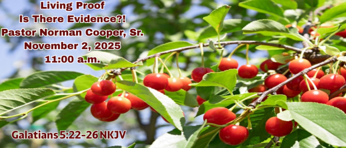 Living Proof - Is There Evidence?!