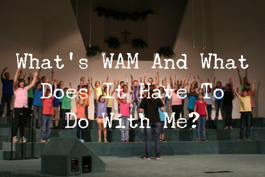 WAM 6