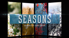 Seasons