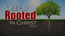 Deeply Rooted in Christ's Church
