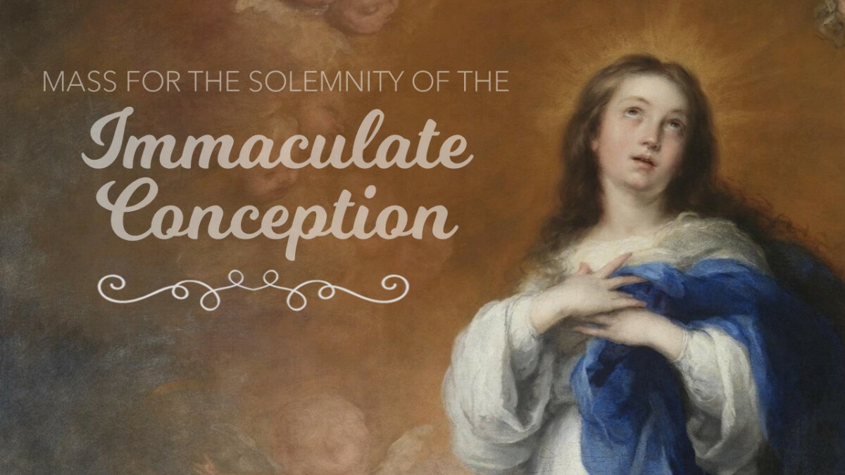Mass for the Solemnity of the Immaculate Conception