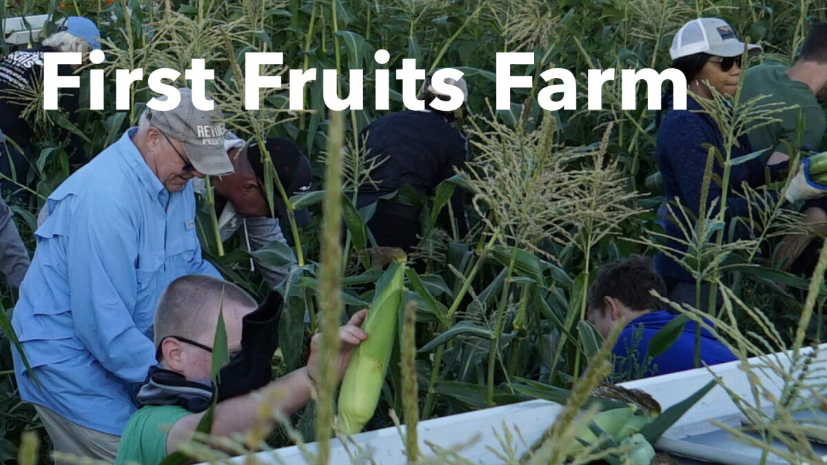 First Fruits Farm 